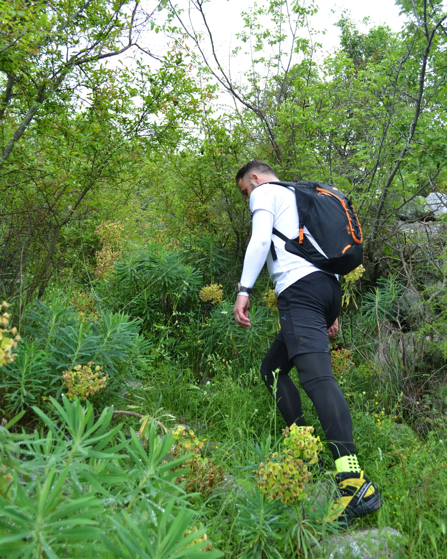 Hiking in the Tarbosh Mountain