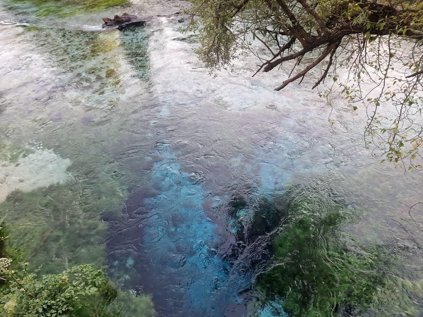 Blue Eye Spring