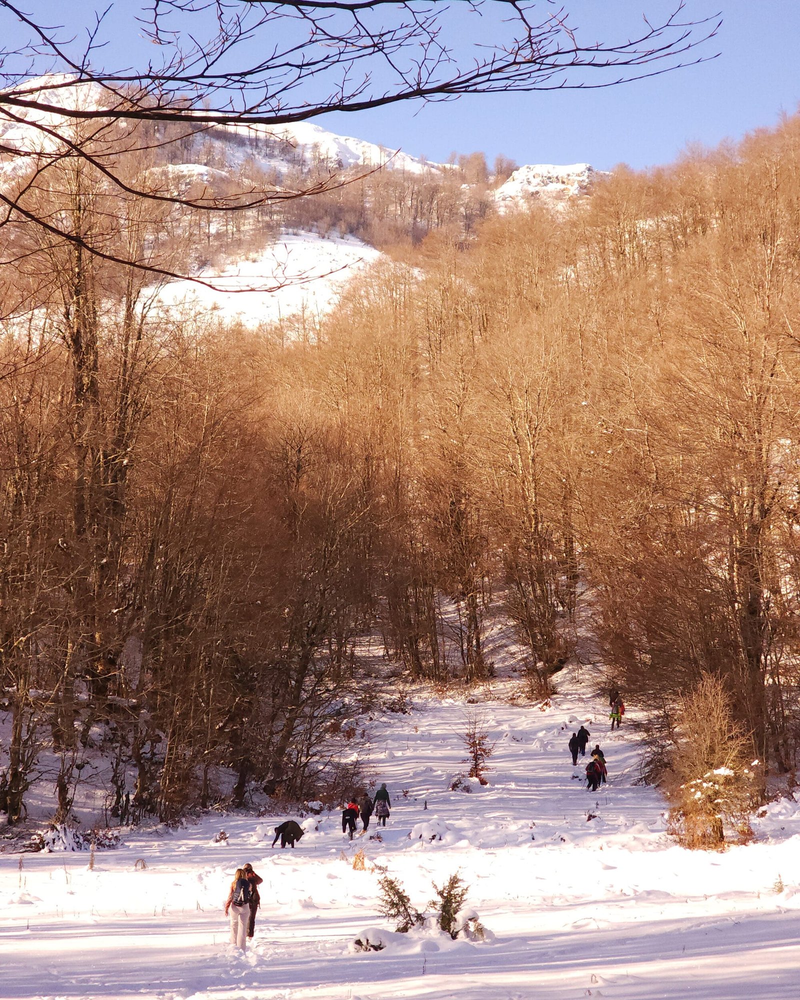 Trail in the Snow, Albania