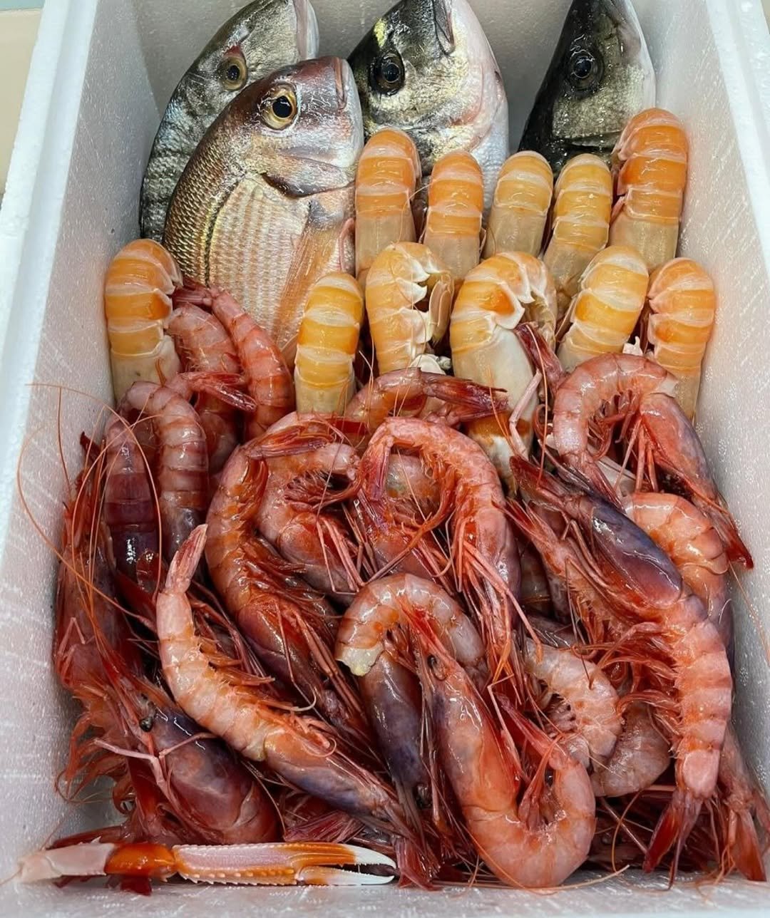 Restorante Peshku në Divjakë-Karavasta