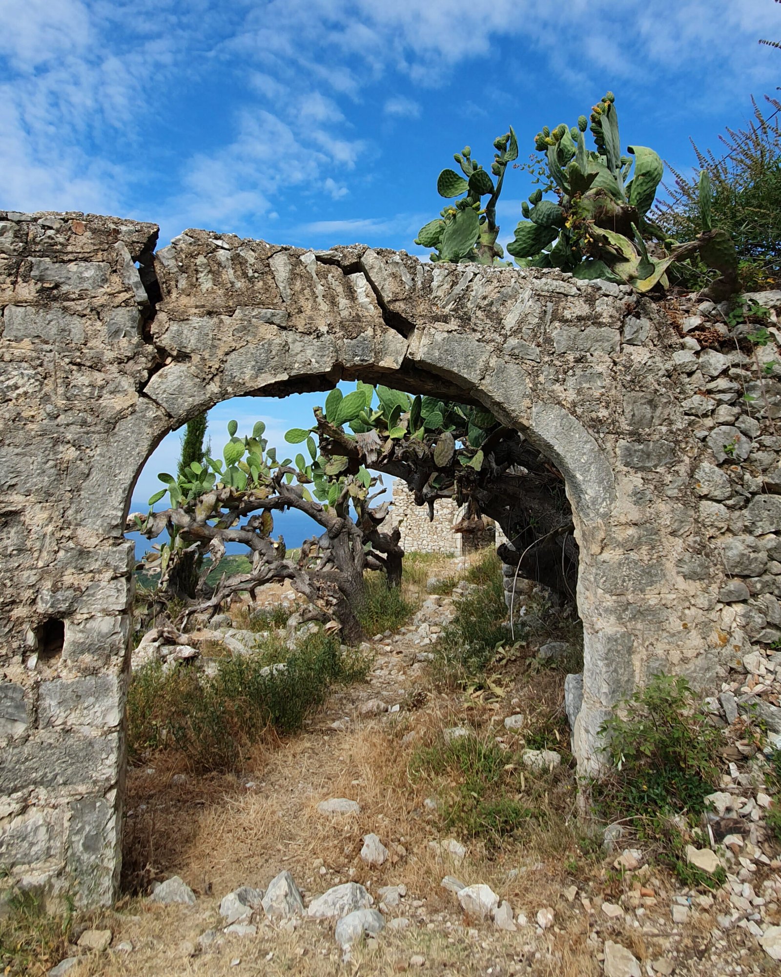 Kalaja e Himarës